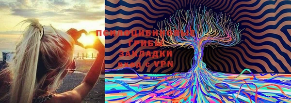 соль ск Гусев