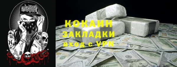 соль ск Гусев