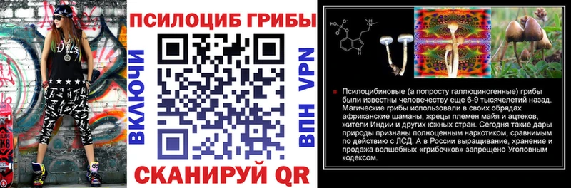 Купить  Новый Оскол  Галлюциногенные грибы MAGIC MUSHROOMS 